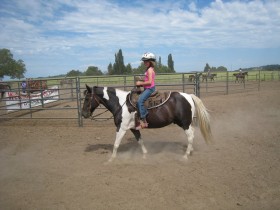 Team Penning @ FitzGerald Farms | Yamhill | Oregon | United States