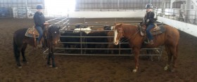 Team Penning Clinic @ FitzGerald Farms | Yamhill | Oregon | United States