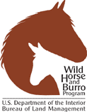 whandburrologo