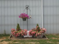 FitzGerald Farms Boarding Facilities | Yamhill, OR